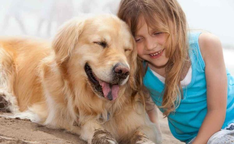 Las 5 mejores razas de perros para niños con autismo