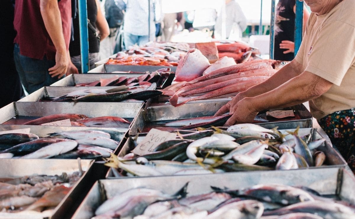 pescado alimento ocu mercado