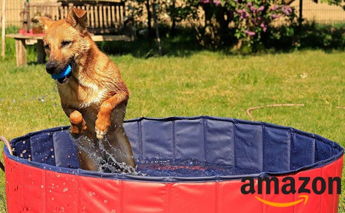Esta piscina de Amazon para perros está hecha con materiales resistentes de calidad