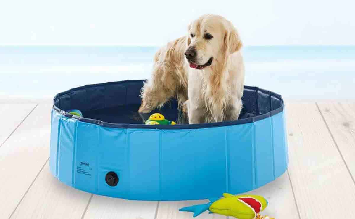 PISCINA ESPECIAL PARA PERROS, VARIAS MEDIDAS