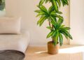 Planta artificial para decorar el hogar de Amazon