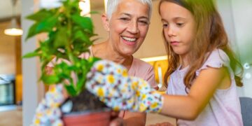 El ingrediente para cuidar tus plantas de interior en casa
