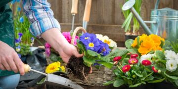 Las plantas más recomendadas para el jardín en junio