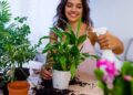 7 trucos para eliminar hongos de tus plantas