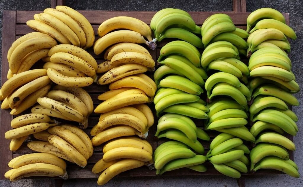 platano banana diferencias