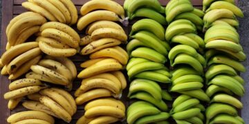 platano banana diferencias