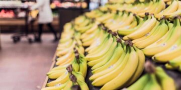 plátano fruta alimento potasio dieta comida triglicéridos altos sangre