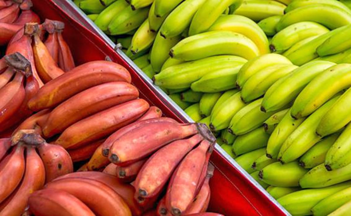 Plátanos rojos y plátanos amarillos en el mercado