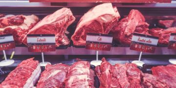 por que debemos comer menos carne