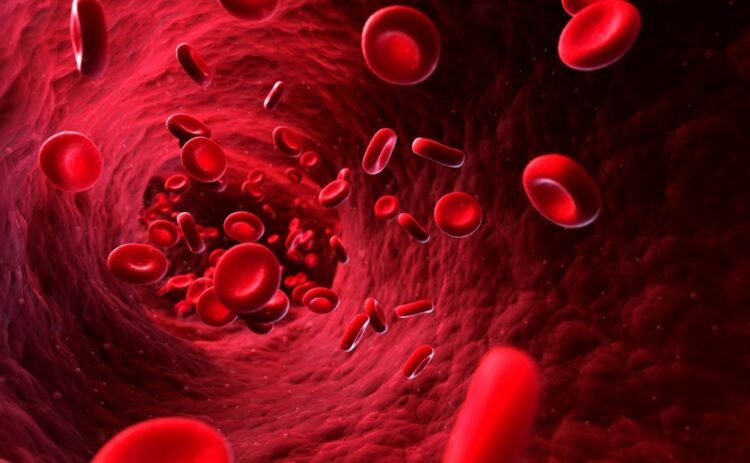 presión arterial sanguínea circulación cuerpo organismo tensión triglicéridos