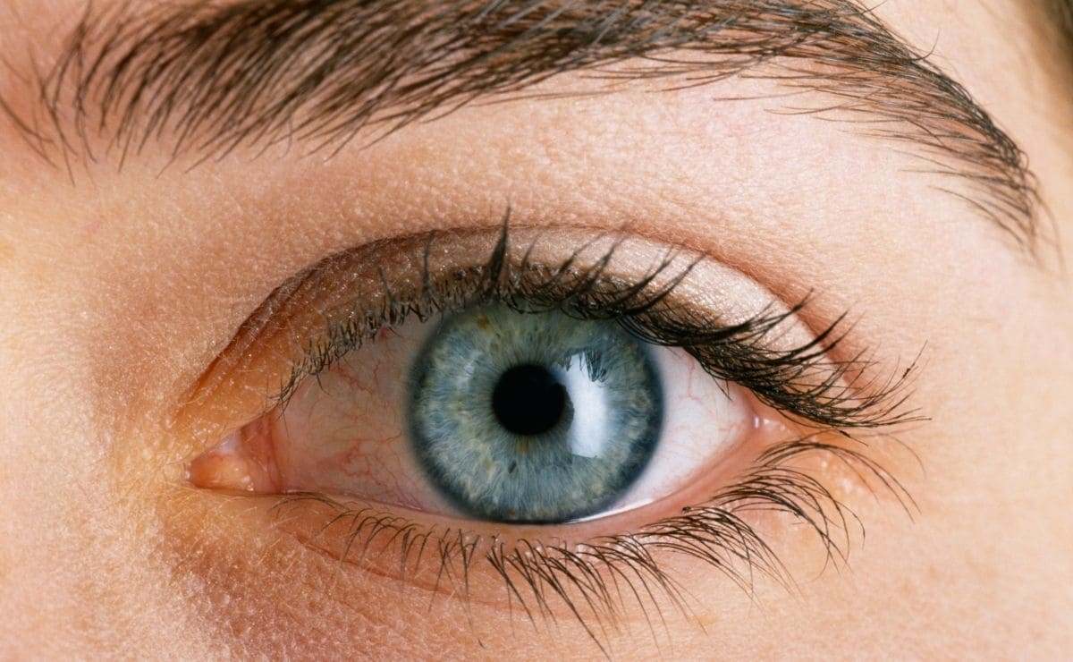 prevenir la degeneración macular generada por la edad vision ojo