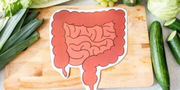 Los mejores probióticos para mejorar la digestión 