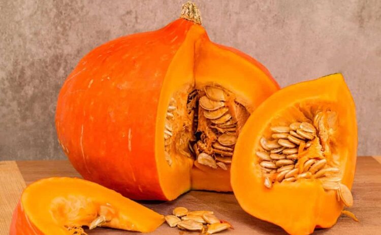 Propiedades de la calabaza