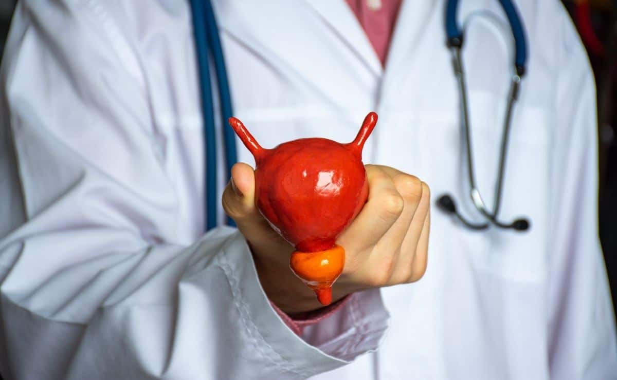 prostatitis medicamento tratamiento remedio casero salud urologo