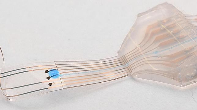 Pulse para ver el video Pulse para ver el video