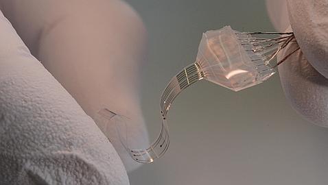 Diseñan un bioimplante que permite volver a caminar a ratas parapléjicas 