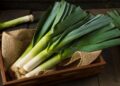 Los puerros son un alimento prebiótico ideal para la salud intestinal