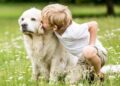 Las mejores razas de perro para niños