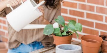 7 trucos para eliminar hongos de tus plantas