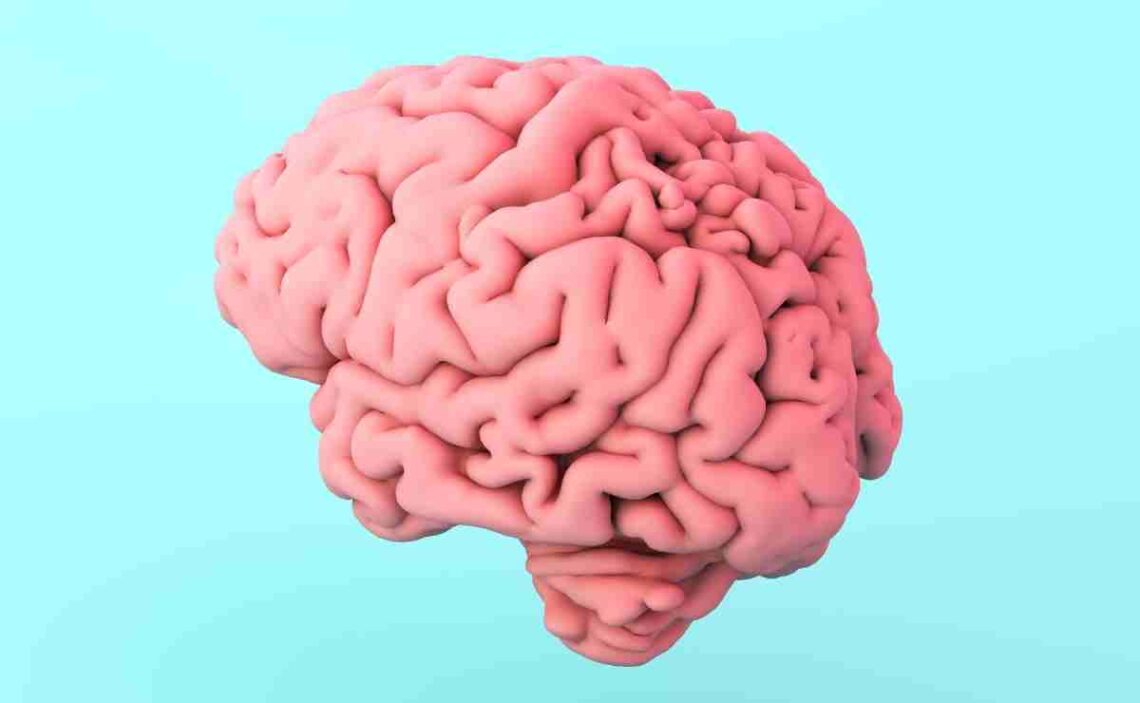 Remedios caseros para cuidar el cerebro y mejorar la memoria