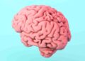 Remedios caseros para cuidar el cerebro y mejorar la memoria