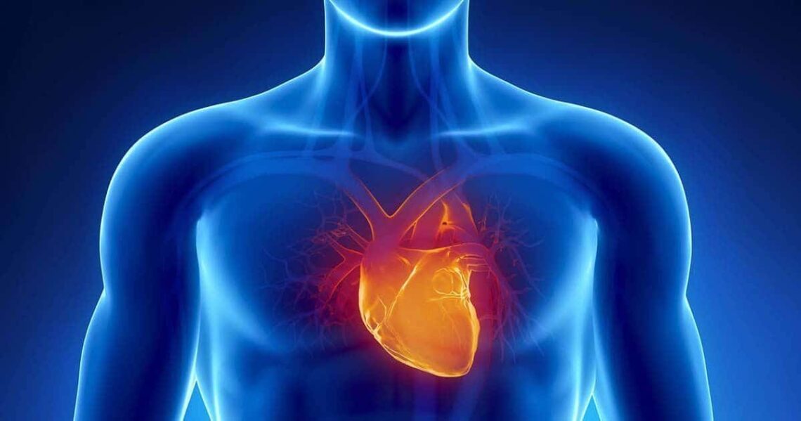 Controlar los factores de riesgo cardiovascular ayuda en la prevención del ictus