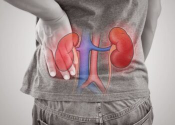Beneficios del jengibre para la salud de los riñones