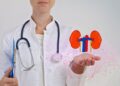 Beneficios de las alcachofas para la salud renal