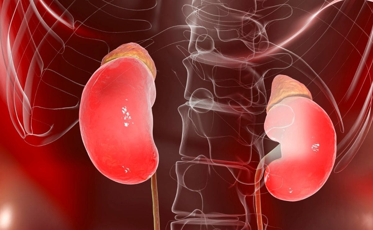 vitamina D Covid-19 insuficiencia renal