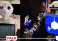 robots paca y teo