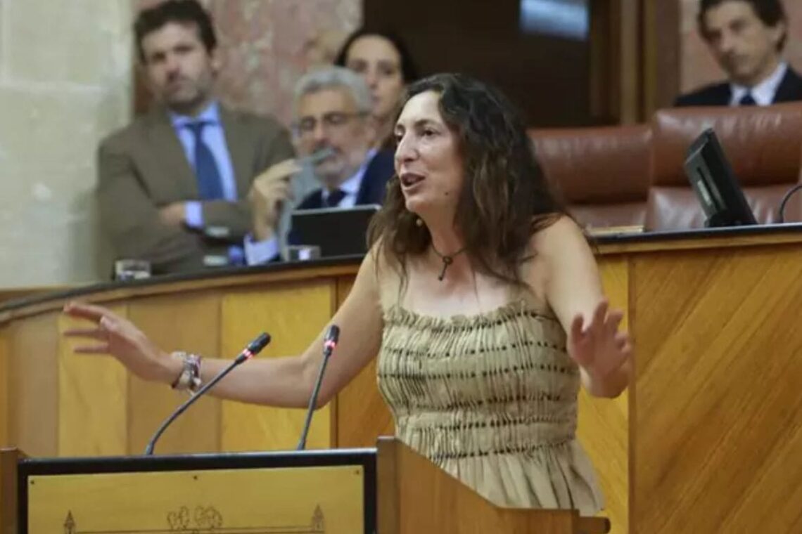 El Parlamento andaluz aprueba la reforma de la Ley andaluza de Atención a persona con discapacidad