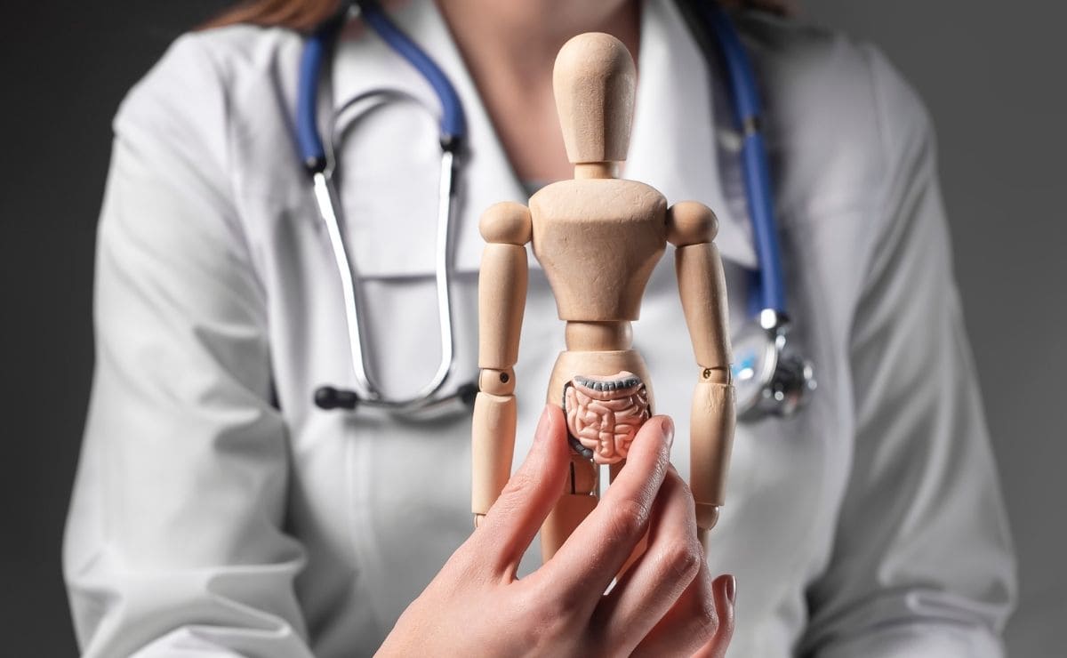 4 signos de que tu microbiota está dañada