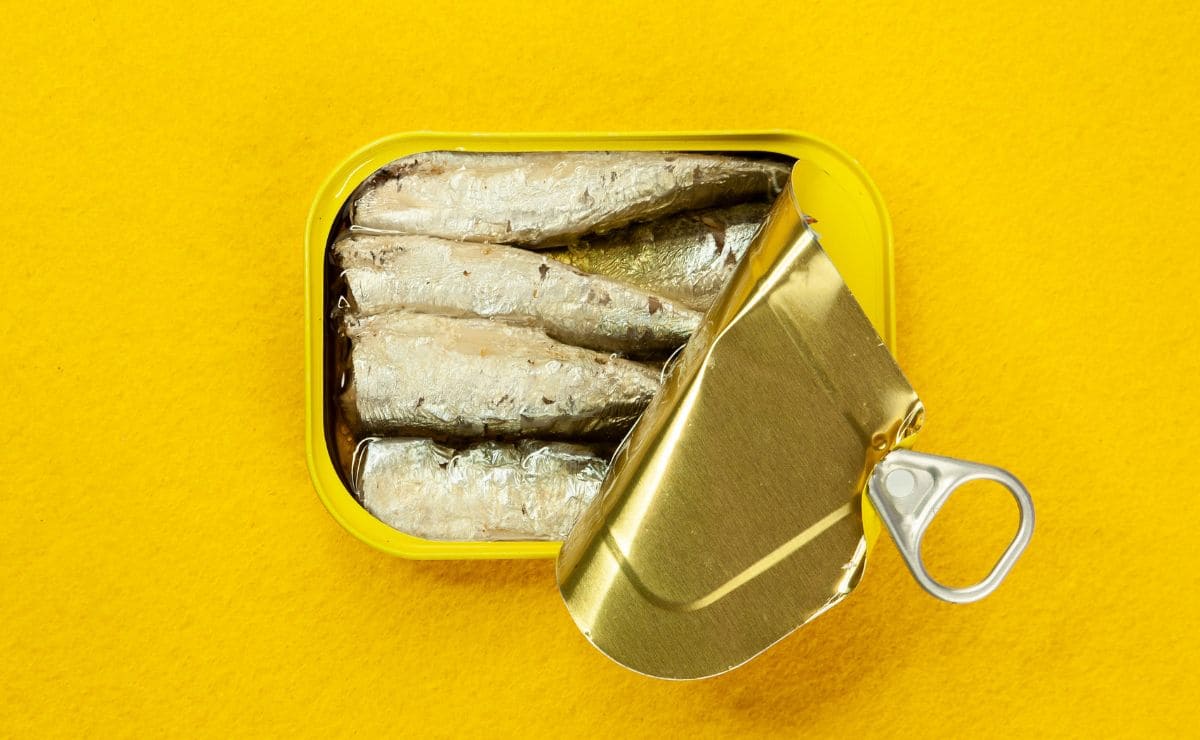 sardinas, superalimento