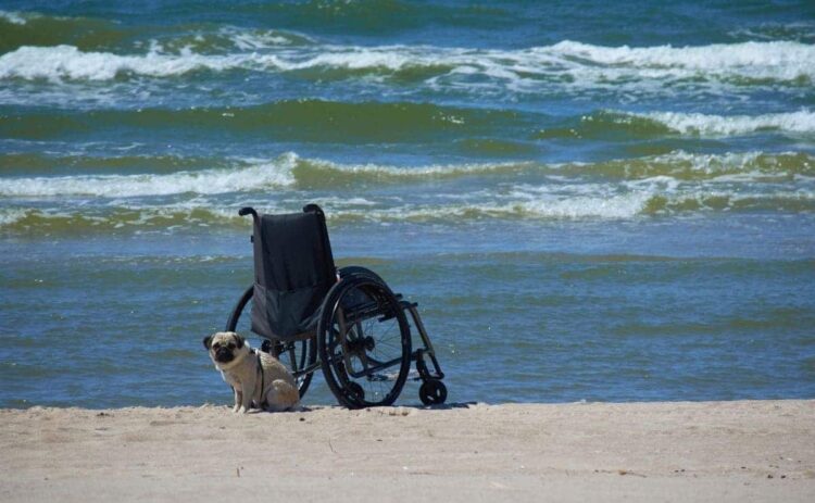 silla de ruedas playa vacaciones discapacidad COCEMFE