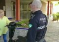 La Policía Local entregando la silla de ruedas robada