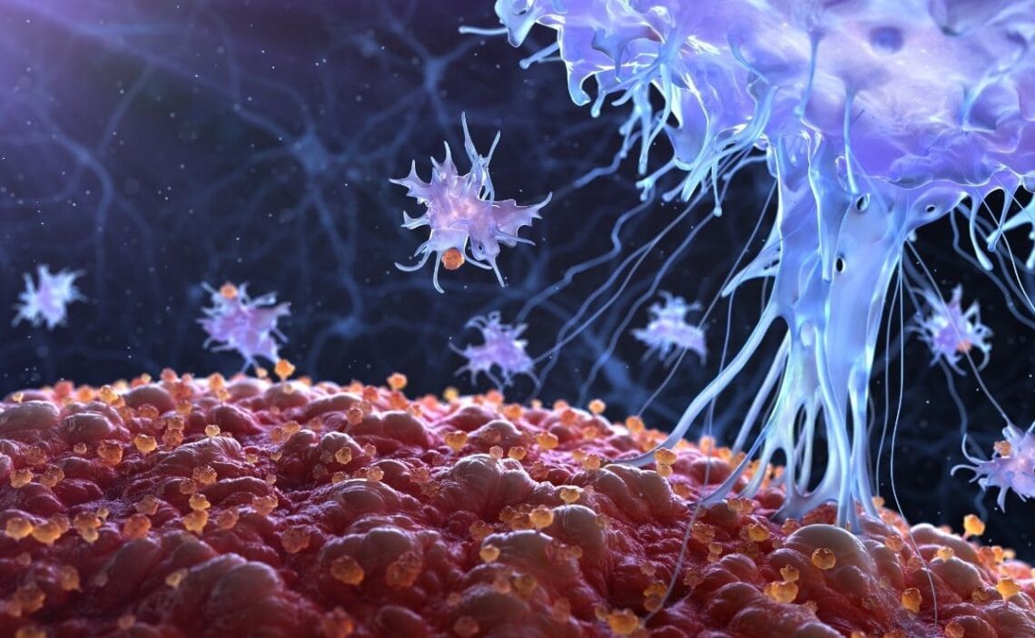 El sistema inmunitario, clave en la evolución del Covid-19