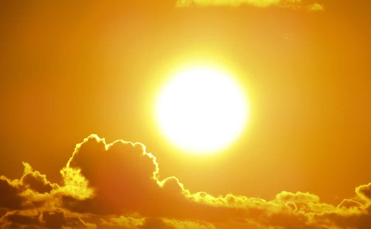 El sol es necesario para producir vitamina D
