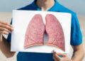 Superalimento para la salud de los pulmones y la próstata
