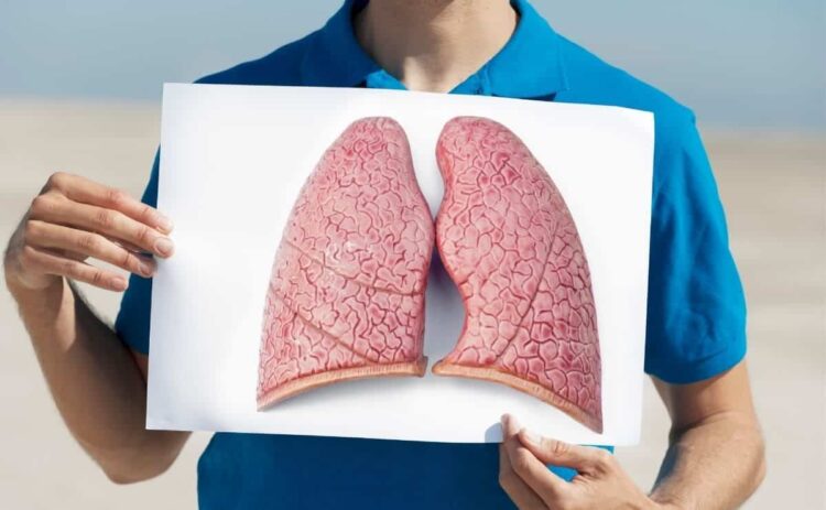 Superalimento para la salud de los pulmones y la próstata