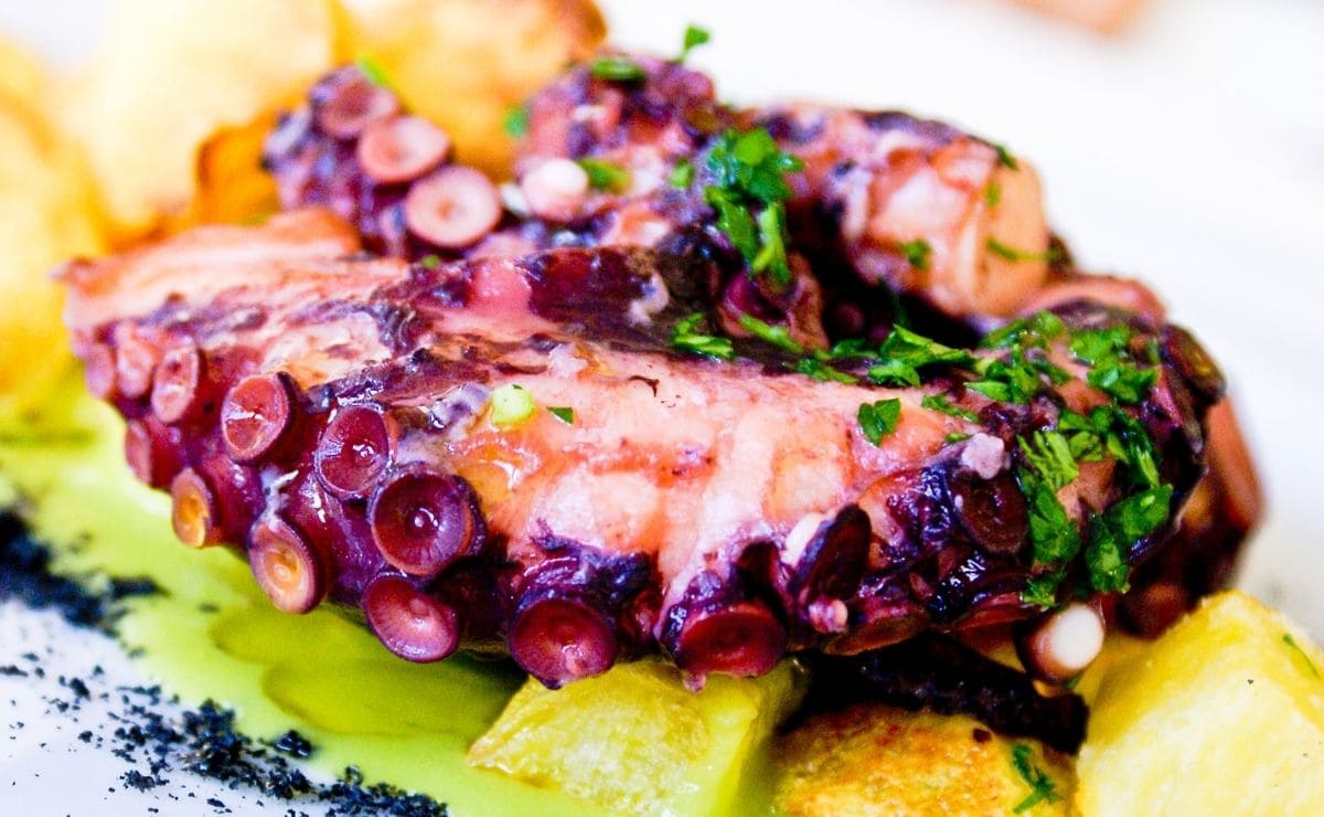 Pulpo, superalimento