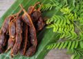 El tamarindo es un rico superalimento que mejora la salud intestinal