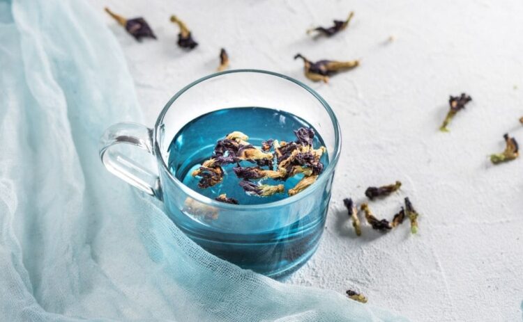 El té azul es ideal para acelerar el metabolismo y perder peso