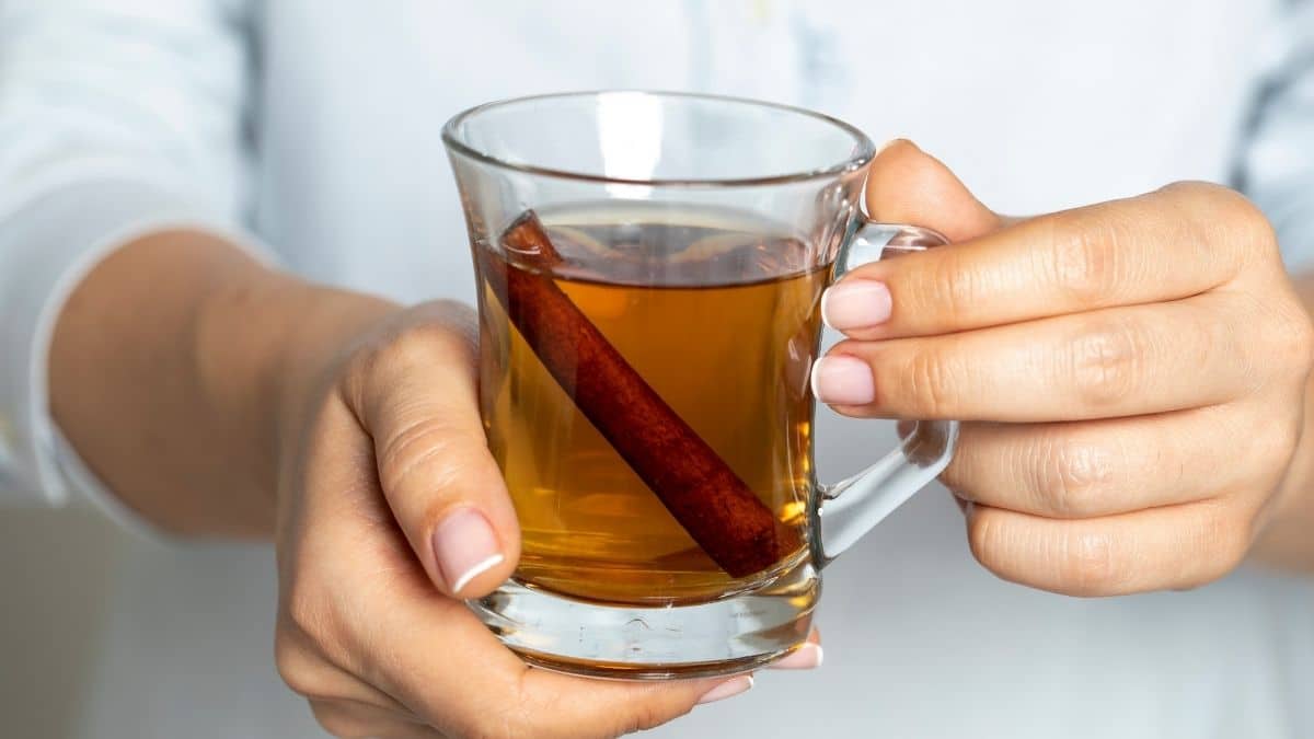 Té de canela para bajar los triglicéridos