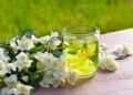 El té de Jazmín es un té natural con beneficios para la salud intestinal