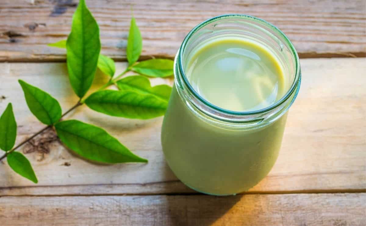 El té matcha latte frío es muy fácil de preparar en casa