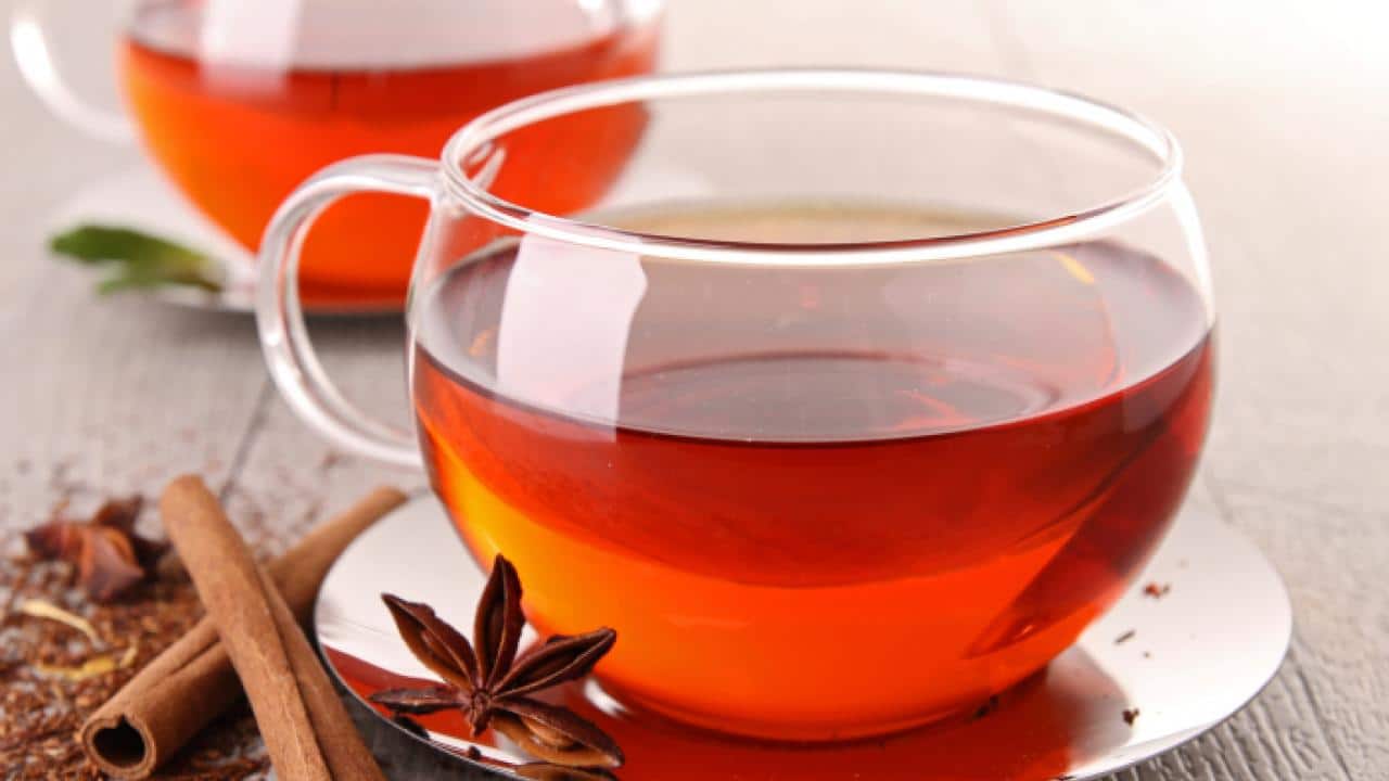 Té rooibos