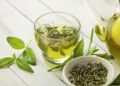 té verde, ayunas
