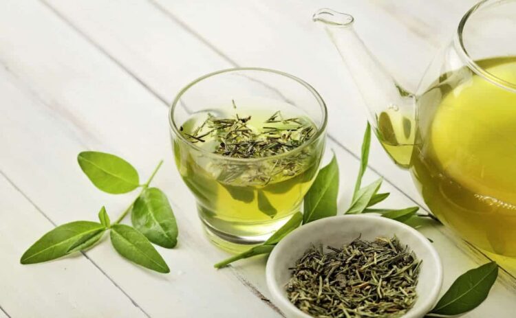 Té verde para la retención de líquidos
