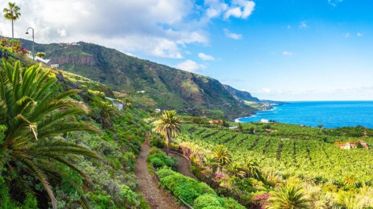 Viajes Carrefour lanza una oferta irrechazable para visitar Tenerife