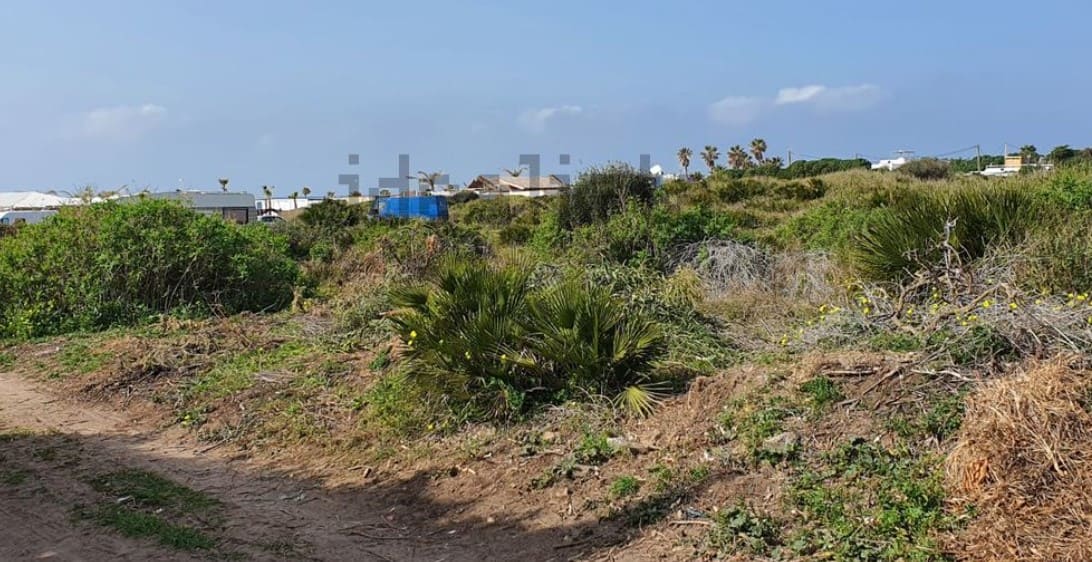 terreno finca palmar vejer cádiz conil vivienda venta campo